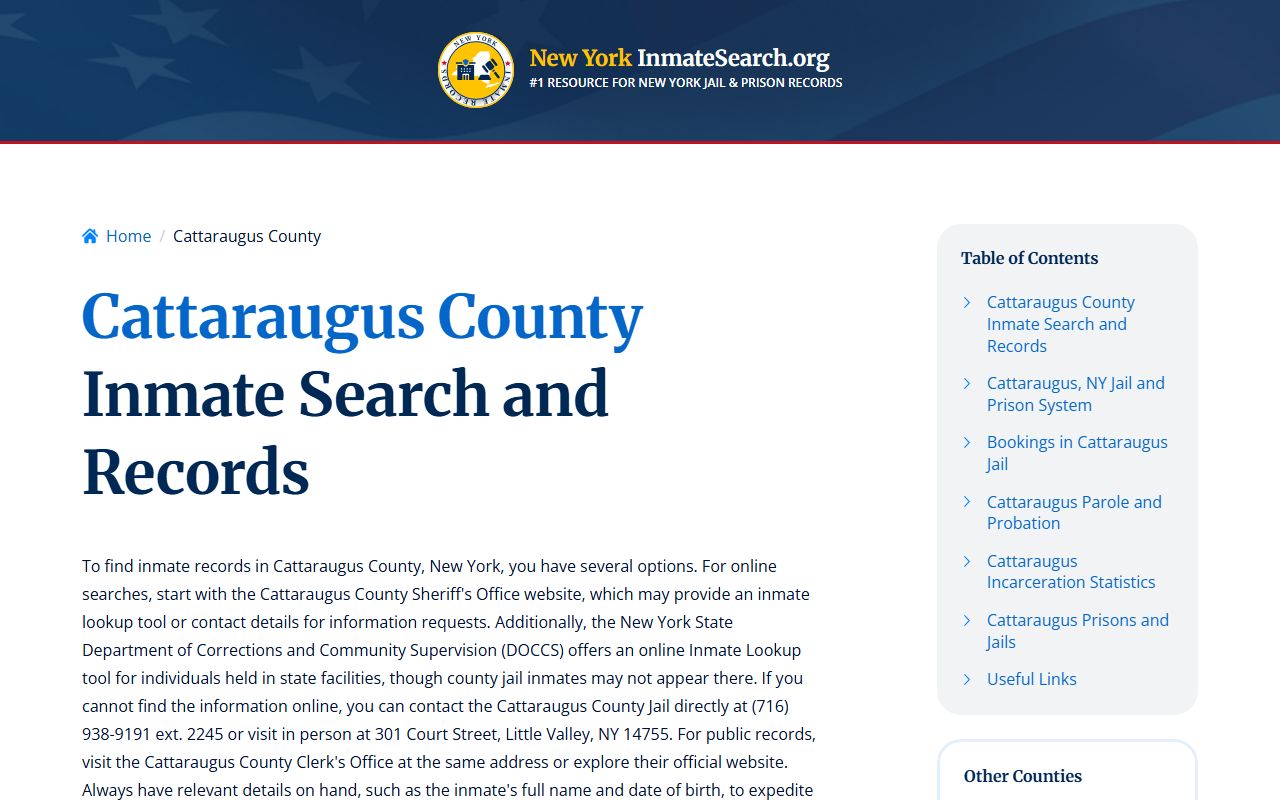 Cattaraugus County inmate search showing recent bookings and custody status