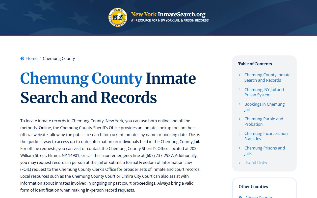 Chemung County inmate search page showing recent bookings and custody records